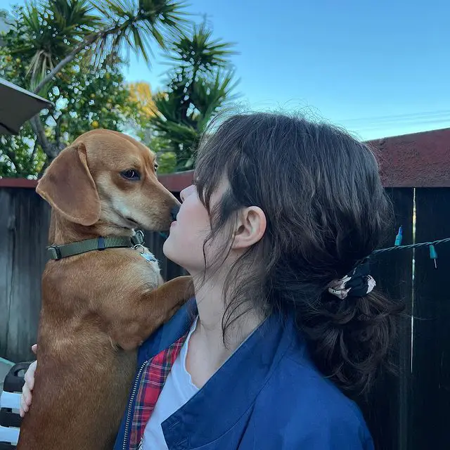 Noah Weisberg Girlfriend (Not Married) And Pet Dog