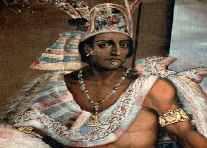 montezumaii