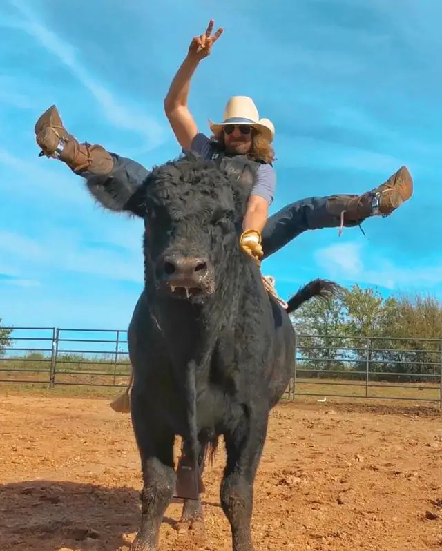 Dale Brisby Riding Bull