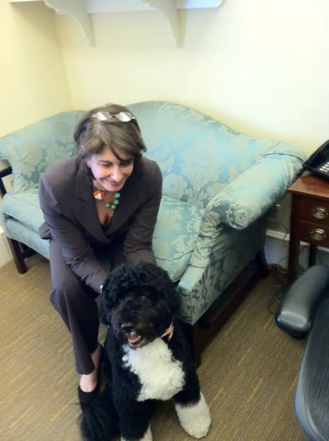 Mara Liasson With Their Pet Dog Bo